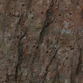 Cooper Red Quartz + 4 840,-